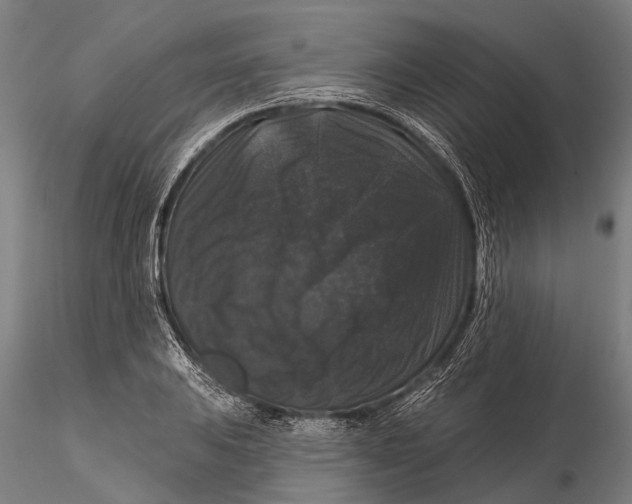 X0000116011031200912101336