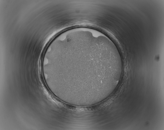 X0000116011032200912101336