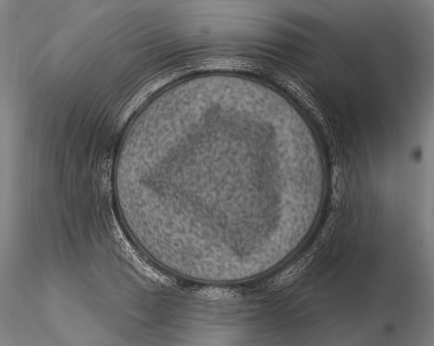 X0000116011033200912101336