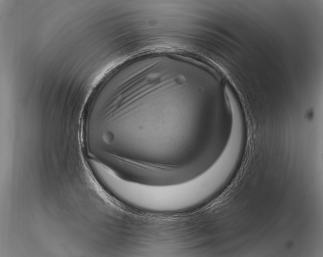 X0000116011034200912101336