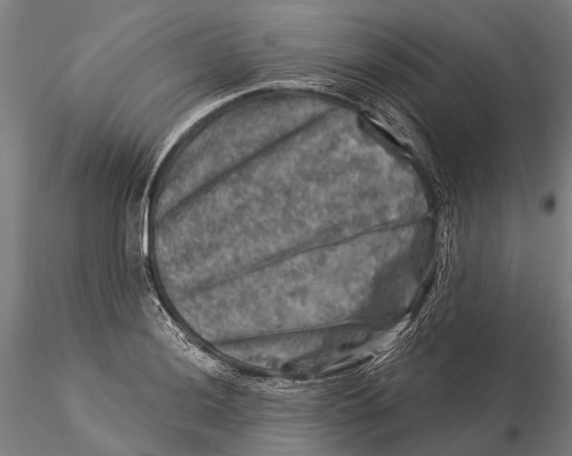 X0000116011036200912101337