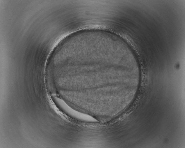 X0000116011038200912101337