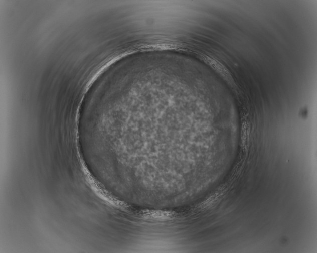 X0000116011039200912101337