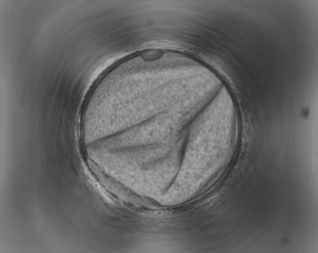 X0000116011040200912101337