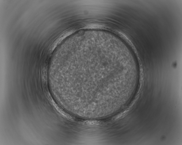 X0000116011041200912101337