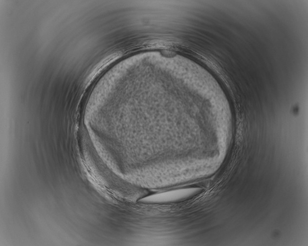 X0000116011042200912101337