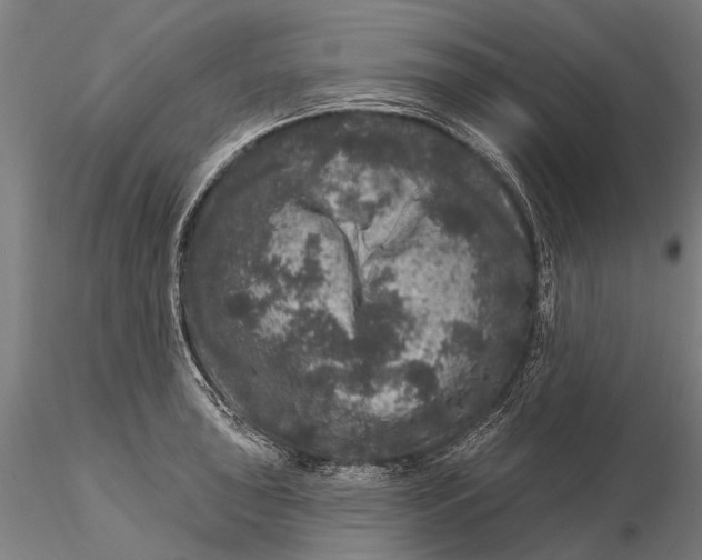 X0000116011043200912101337