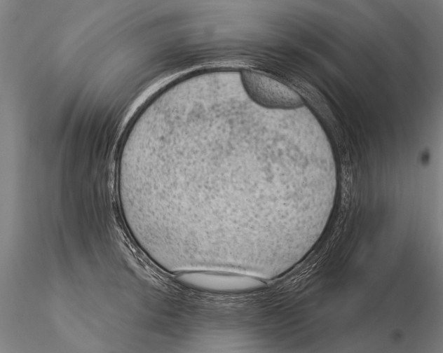 X0000116011044200912101337