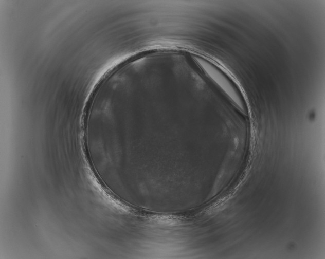 X0000116011045200912101337