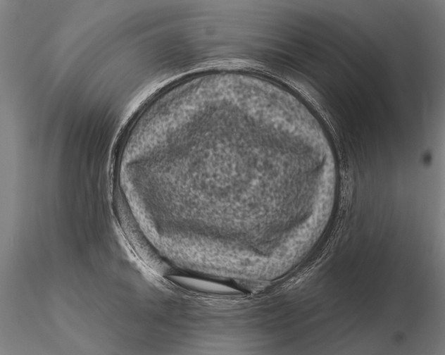 X0000116011046200912101337