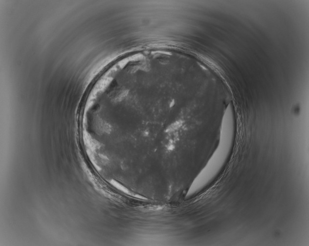 X0000116011047200912101337