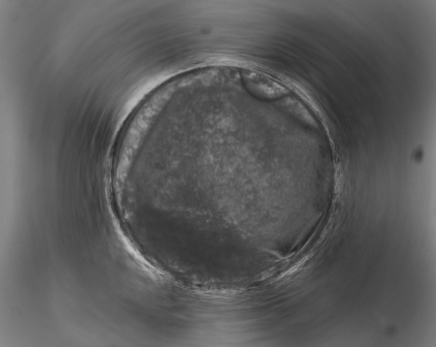 X0000116011048200912101337