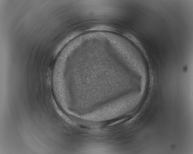 X0000116011049200912101337