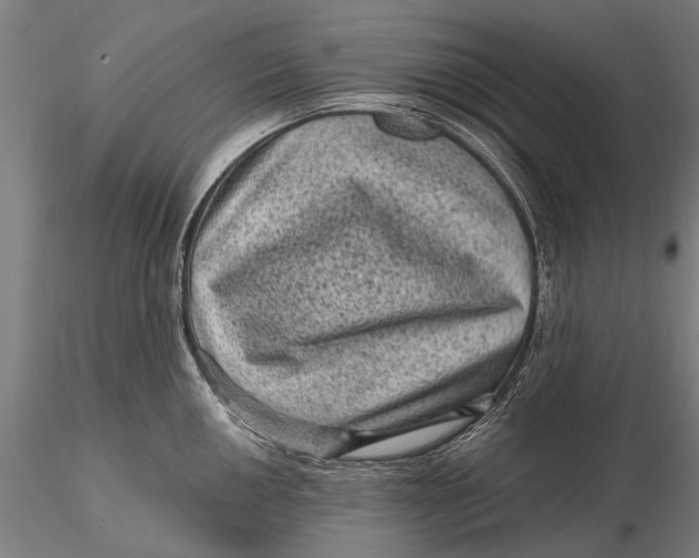 X0000116011050200912101337