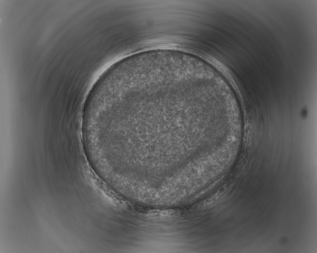 X0000116011051200912101337