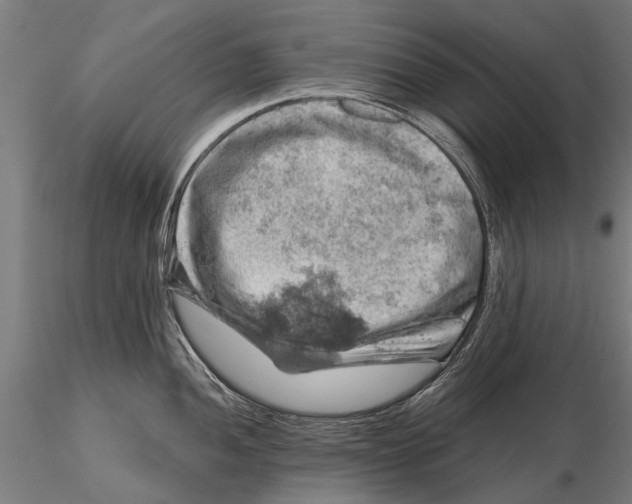 X0000116011052200912101337