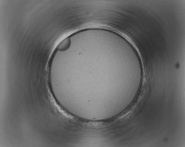 X0000116011053200912101337