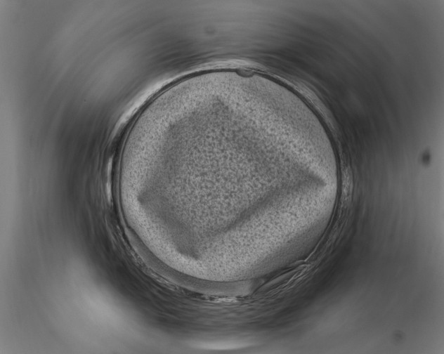 X0000116011054200912101337