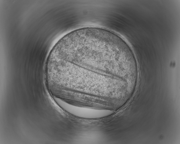 X0000116011056200912101337