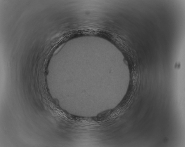 X0000116011057200912101336