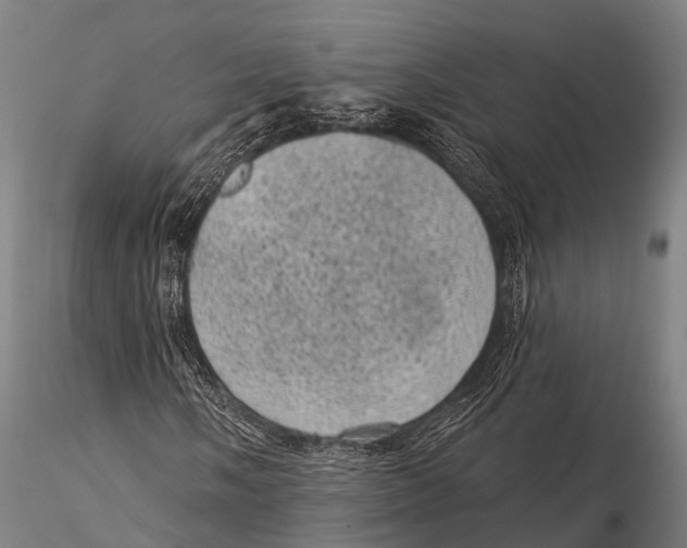 X0000116011058200912101336