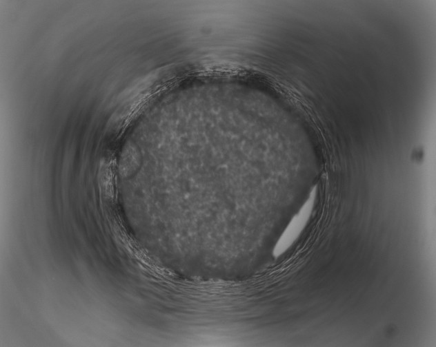 X0000116011059200912101336