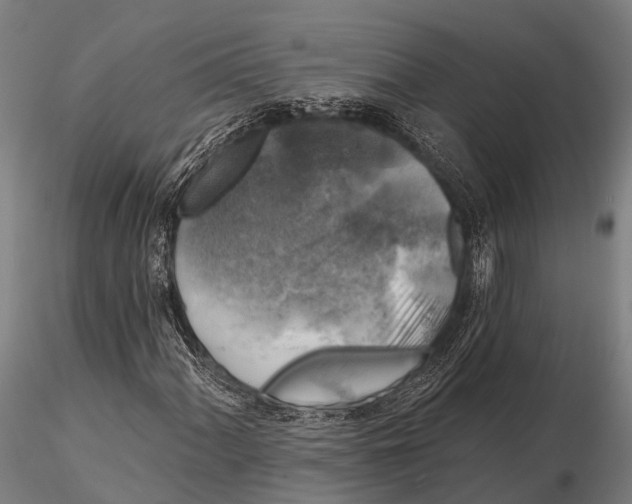 X0000116011060200912101336