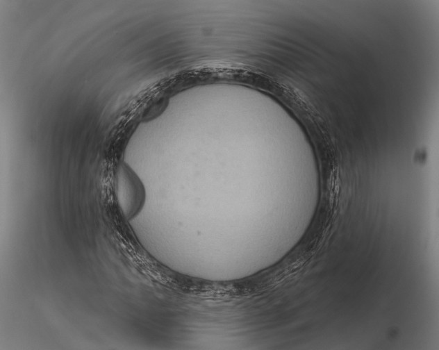 X0000116011062200912101336