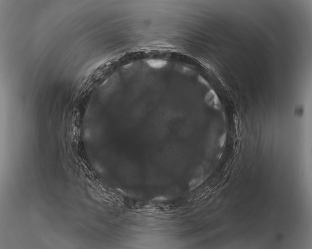 X0000116011063200912101336