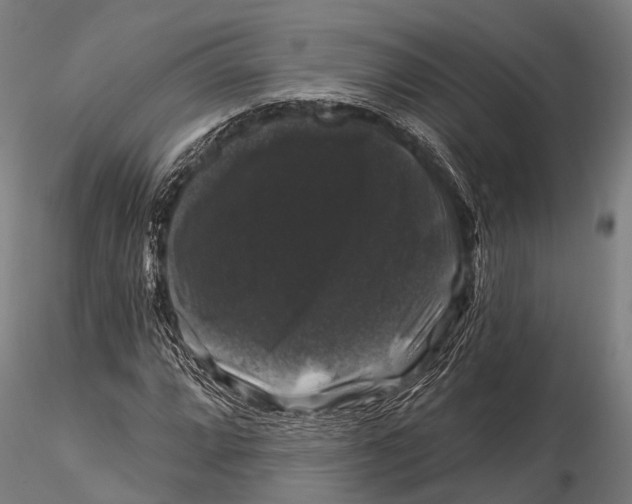 X0000116011064200912101336