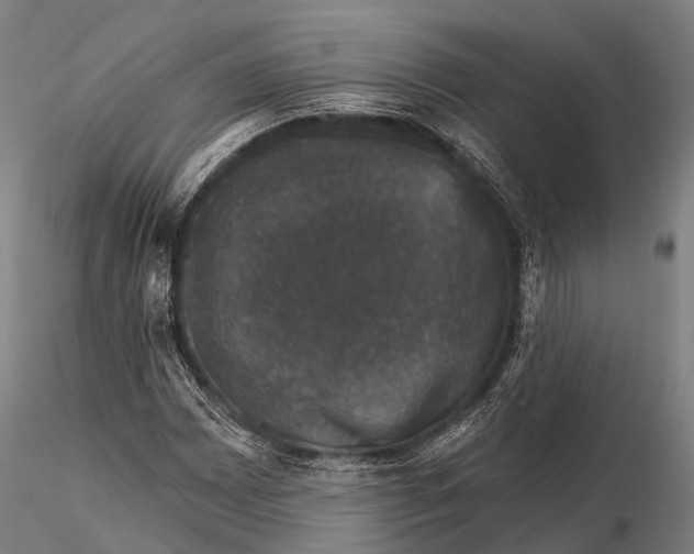 X0000116011065200912101336