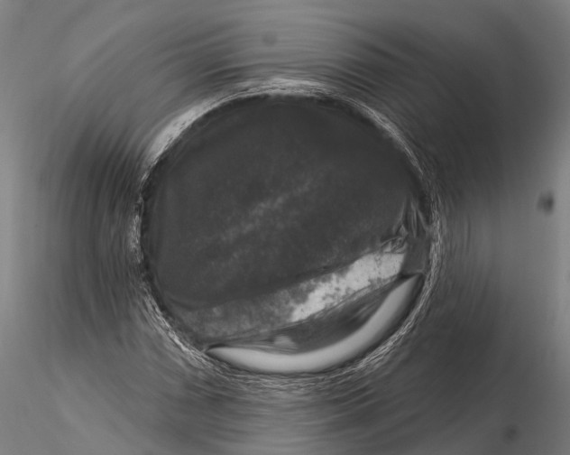 X0000116011066200912101336