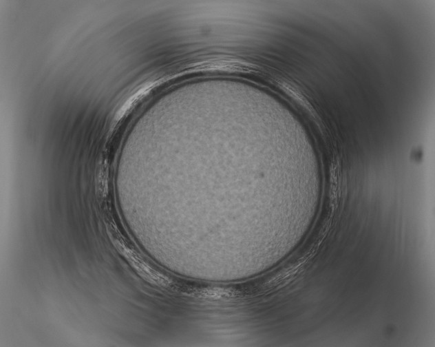 X0000116011067200912101336