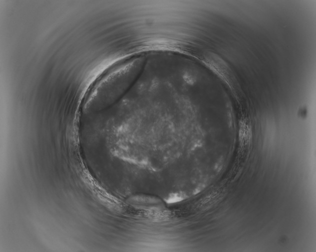 X0000116011068200912101336