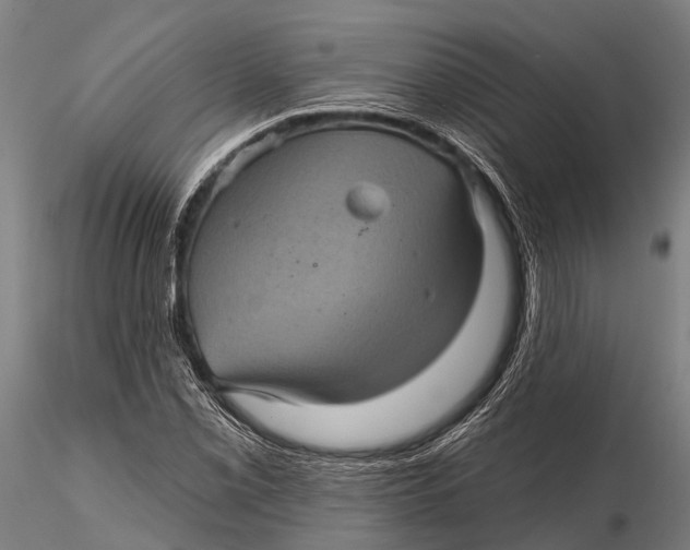 X0000116011069200912101336