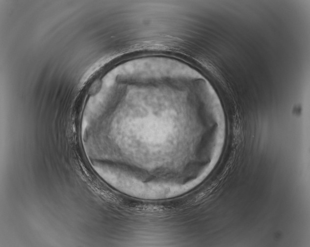 X0000116011070200912101336