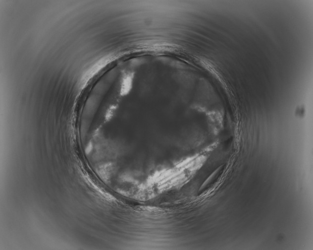 X0000116011071200912101336