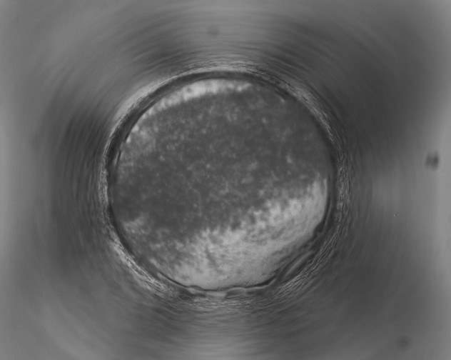 X0000116011072200912101336