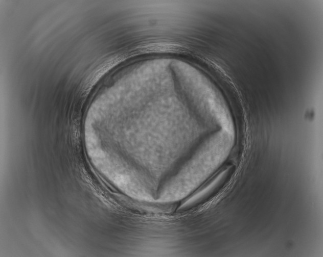 X0000116011073200912101336