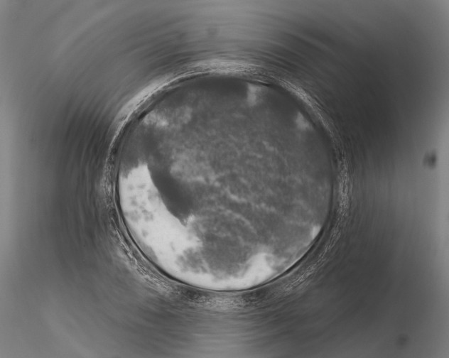 X0000116011074200912101336