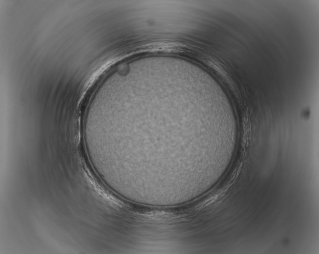 X0000116011075200912101336