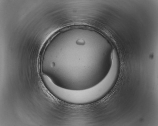 X0000116011076200912101336