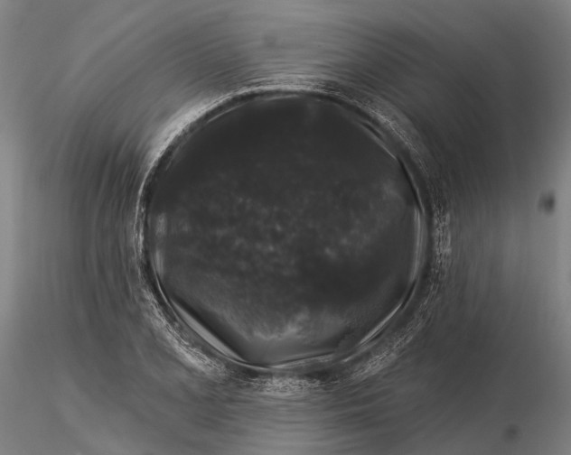 X0000116011077200912101336