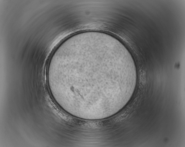 X0000116011078200912101336