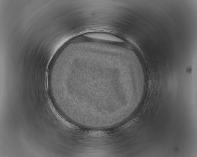 X0000116011079200912101336