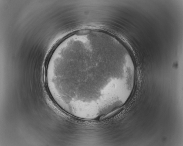 X0000116011080200912101336