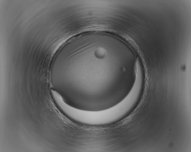 X0000116011081200912101336