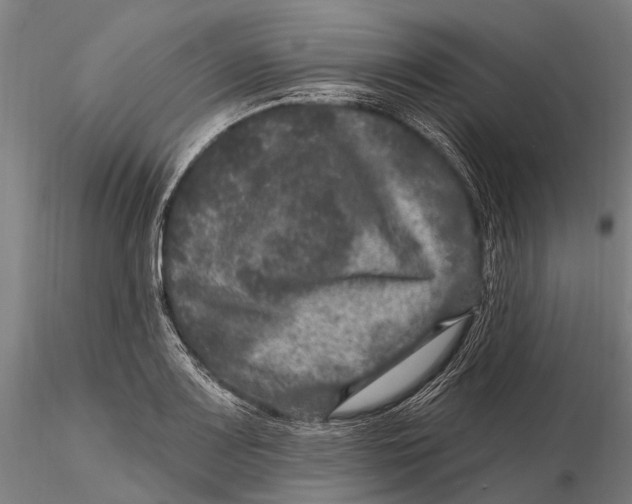 X0000116011083200912101336