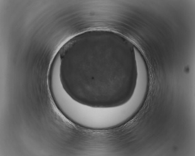 X0000116011084200912101335