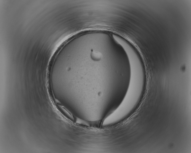 X0000116011085200912101335